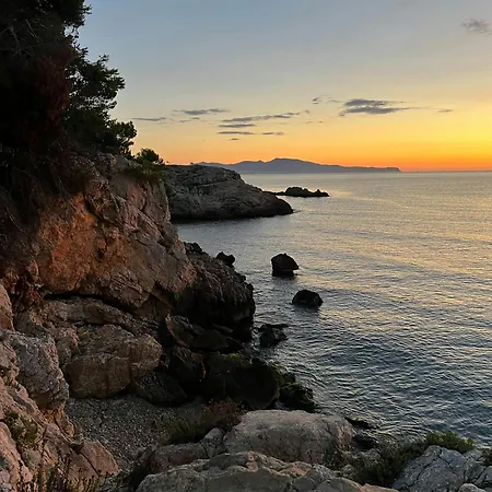 Vive Tu Vida Sonada Delante Del Mar
